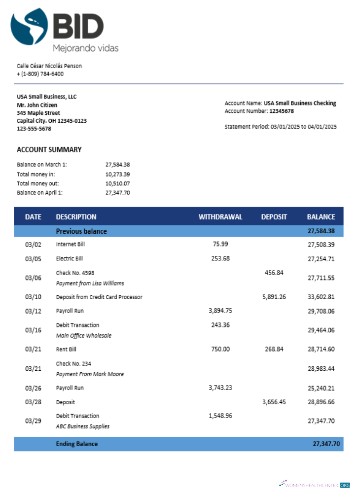 Download BID business account statement Word and PDF template Photoshop template